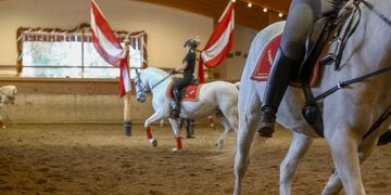 Lippizzanerzucht im Bio- und Wellnesshotel Stanglwirt