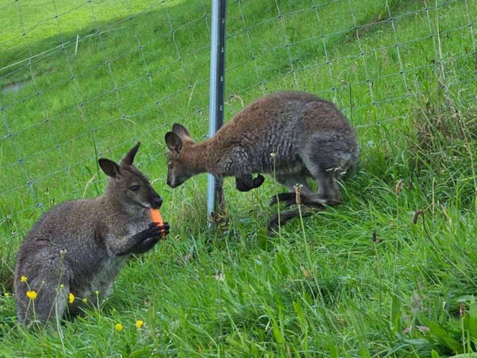 She calls you closer with her fingers enticing