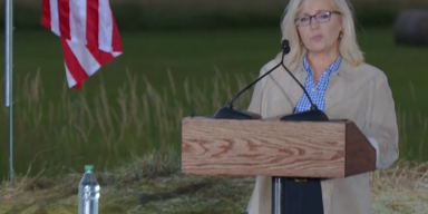Liz Cheney.PNG