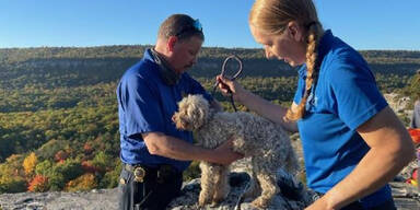 Hund steckte 5 Tage in enger Felsspalte fest