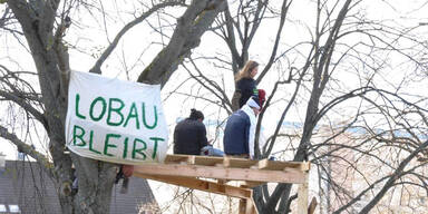Lobau: Baumbesetzung von Polizei aufgel&ouml;st