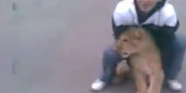 Schüler bringen Löwenbaby in Schule