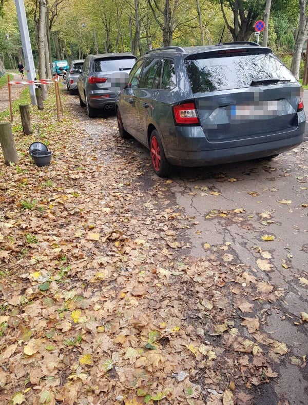 Lokalaugenschein Rutschenschacher Allee