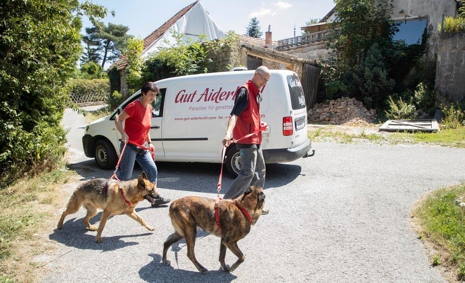 Lucy, Jerry-Lee 1 - Tierschutz-CH - Unsere Tiere - Gut Aiderbichl - Sendung 01092019