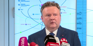 Ludwig kritisiert Doskozil & st&auml;rkt Rendi-Wagner den R&uuml;cken.png