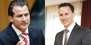 Team Stronach über Niederlage nicht überrascht