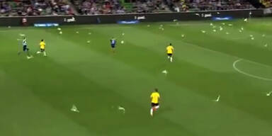 M&ouml;wen-Attacke in australischer Liga