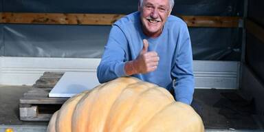 M&uuml;hlviertler Riesenk&uuml;rbis