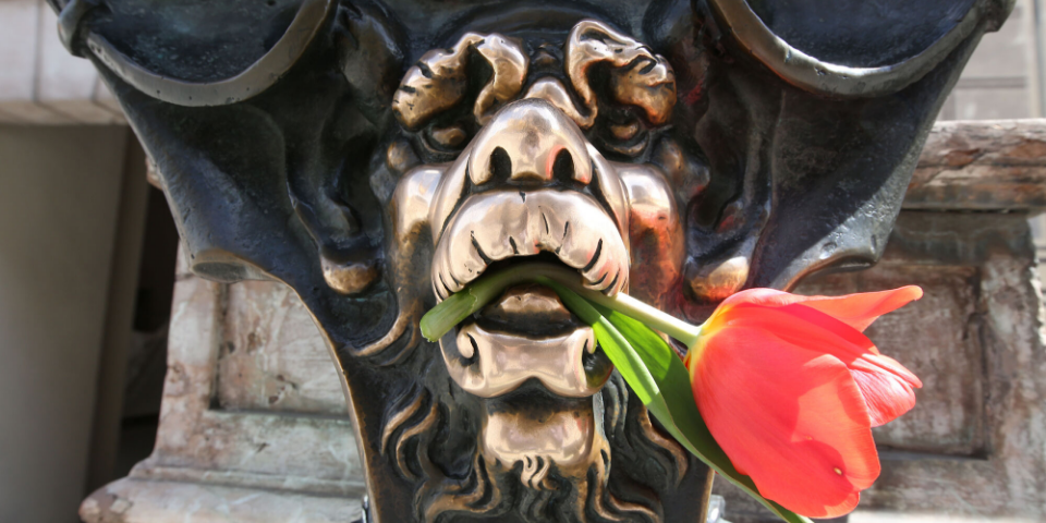 Das Flower Power Festival 2023