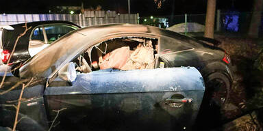 Kollegen aus Rache Auto abgefackelt