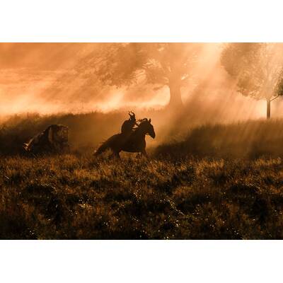 Maleficent - Angelina Jolie als böse Fee