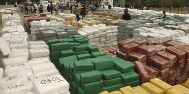 Über 100 Tonnen Marihuana entdeckt
