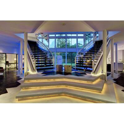 Darth Vader Villa in Houston, Texas