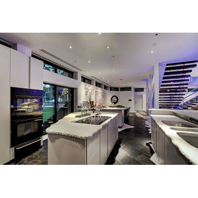 Darth Vader Villa in Houston, Texas