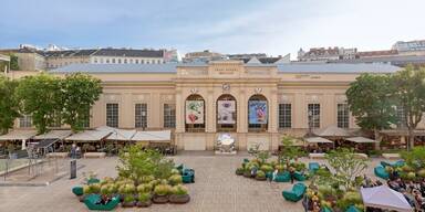 MuseumsQuartier wird dauerhaft grüner