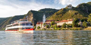 Ausflüge zur Marillenblüte