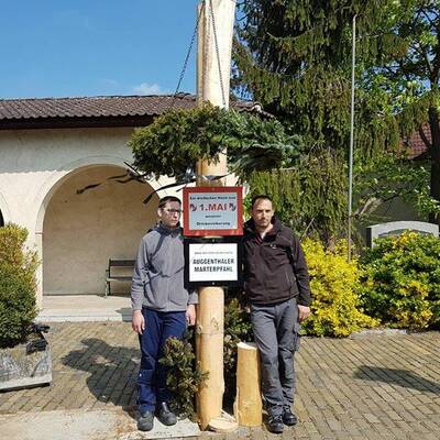Maibaum in Auggenthal