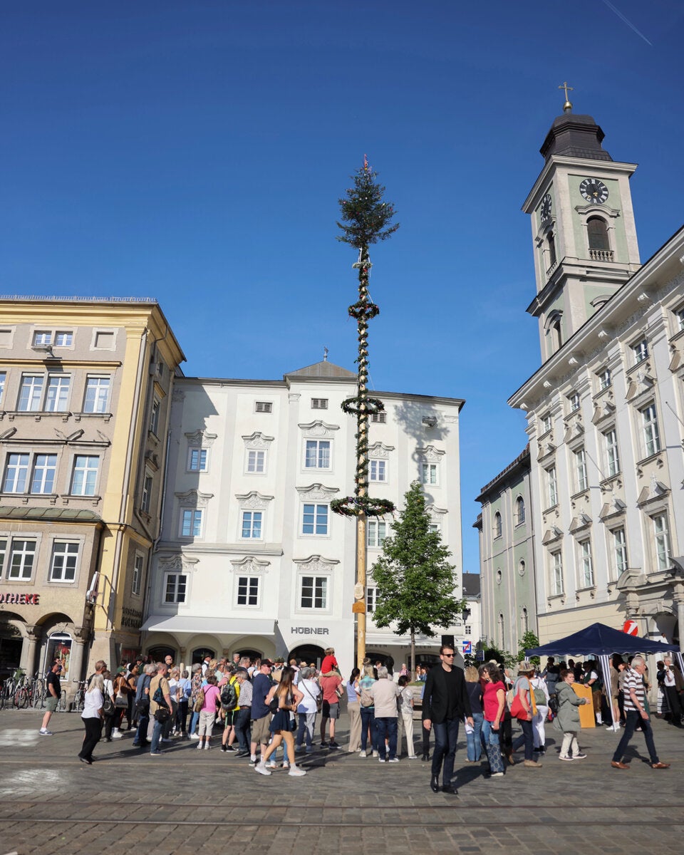 Der Maibaum in Linz.