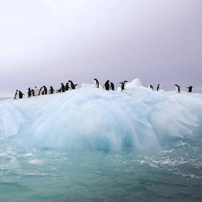 Wettlauf zum Südpol