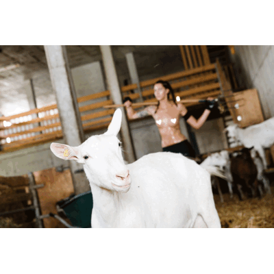 Making of Jungbauernkalender 2017