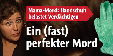 Ein (fast) perfekter Mord an junger Mutter