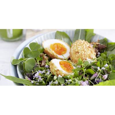 Biskuittoertchen mit Baiserhaube