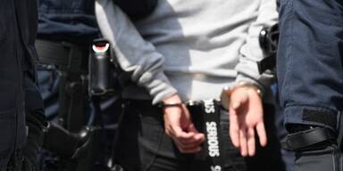 Festnahme bei Votivpark-Demo