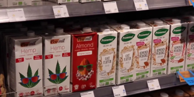Markt für Alternativen zu Milch, Fleisch  Co wächst.png