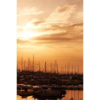 Die romantischsten Fotos