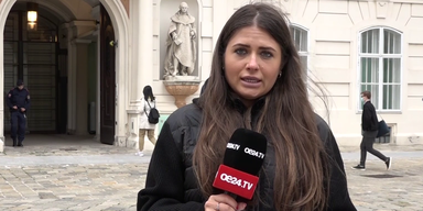 Marlene Breineder.png