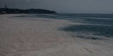 Experte: 'Das Marmarameer ist jetzt ein totes Meer'