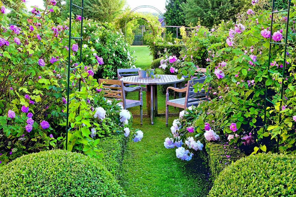 Sommer im Namen der Rose