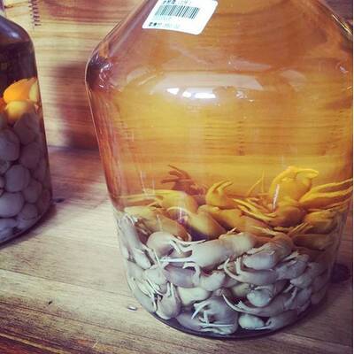 Die letzte Chance Diät