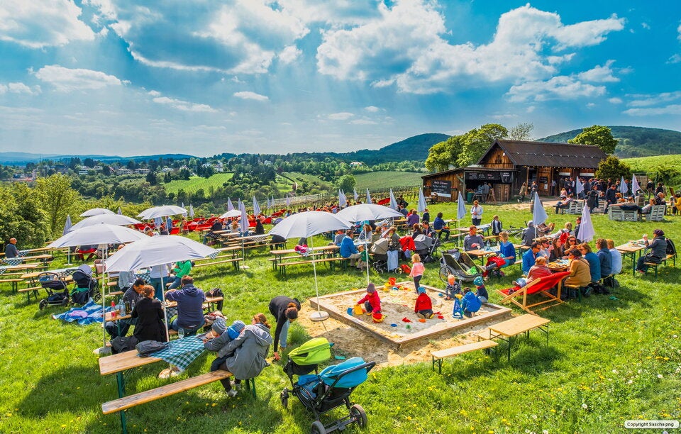 Wiens 30 beste Heurigen