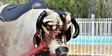 Bub (9) stirbt beim Bullenreiten