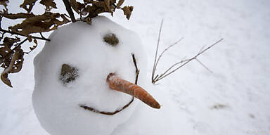 Mehr als 1.800 Figuren