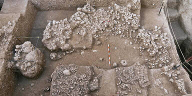 Sensation: Austro-Forscher entdecken neuen Menschentyp