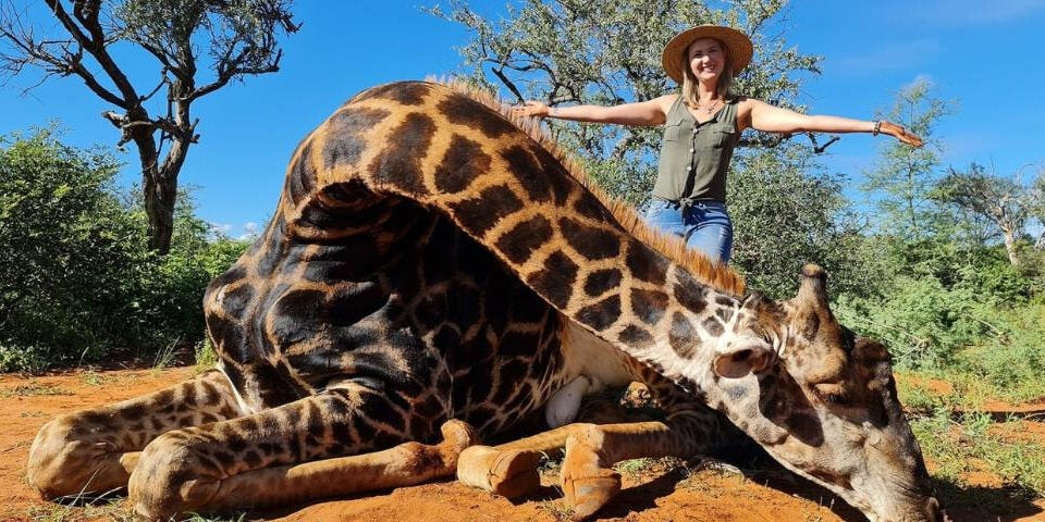 Jägerin posiert mit Herz von erschossener Giraffe