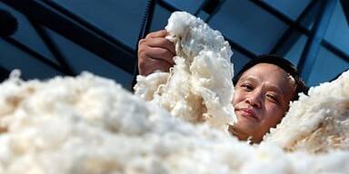 Merino-Wolle ist dünner als das menschliche Haar