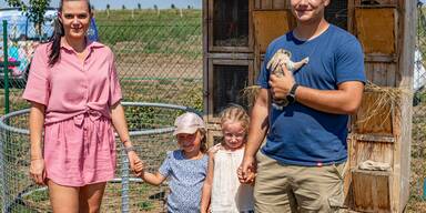 Meister Lampe hoppelt durch Nieder&ouml;sterreich