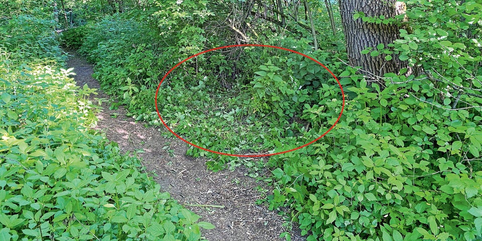 Mordfundstelle in Kufstein