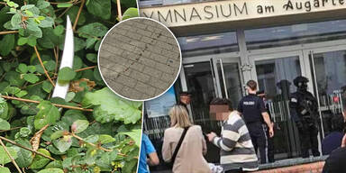 Gymnasium Augarten Karajangasse Messer