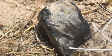 American Meteor Society