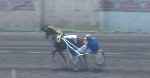 YouTube - Malta Equidrome