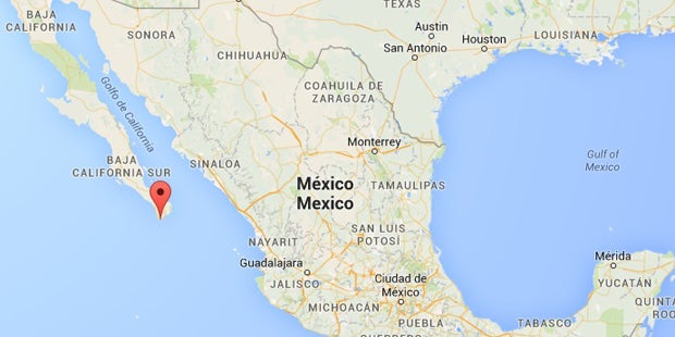 Kanadierin stirbt bei Wal-Tour