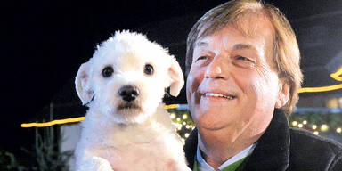 7 vergiftete Hunde auf Aiderbichl-Wiese