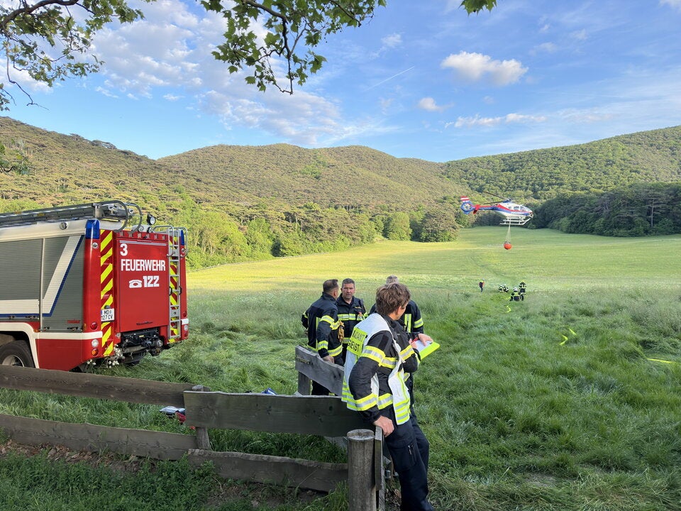 Waldbrand in Mödling: Feuerwehr im Einsatz