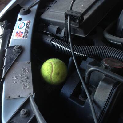 Mietwagencheck Mallorca