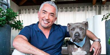 Cesar Millan als Ticket-Hit