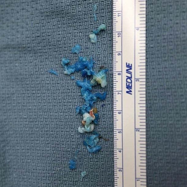 Ekel-Posting von Bode Miller